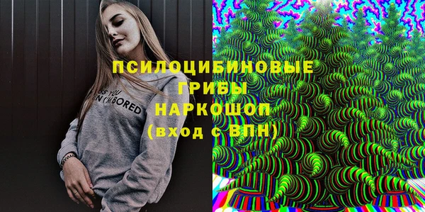 меф Арсеньев