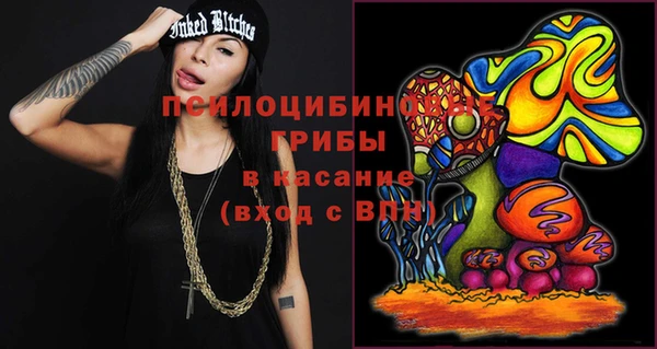 прущие крисы Армянск