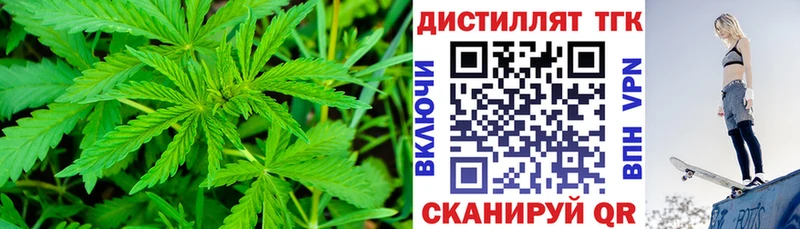 OMG рабочий сайт  Новодвинск  ТГК жижа 
