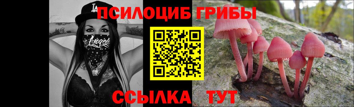 Галлюциногенные грибы Magic Shrooms Новодвинск