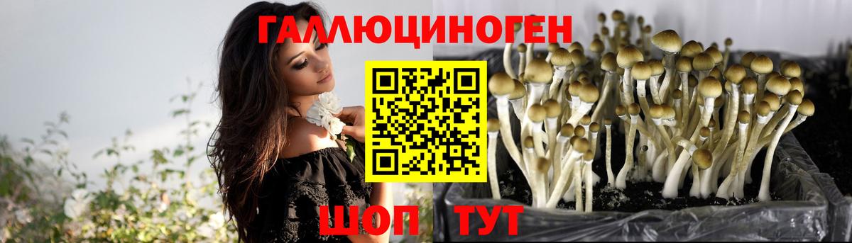 Галлюциногенные грибы Cubensis  Вход с VPN  Новодвинск  Псилоцибиновые грибы ЛСД 